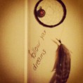 /album/fenykepgaleria/follow-your-dreams-jpg/